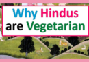 VIDEO – Why Hinduism Champions Vegetarianism as an Aid to Samadhi