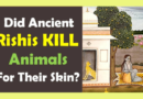 Did Ancient Rishis Kill Animals For Their Skin? (VIDEO)