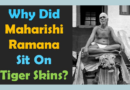 Vedanta Does Not Support Absolute Ahimsa (100% Non-Violence) – Maharishi Ramana & Tiger Skins