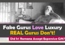 Easiest Way to Distinguish a Real Guru From Fake! (VIDEO)