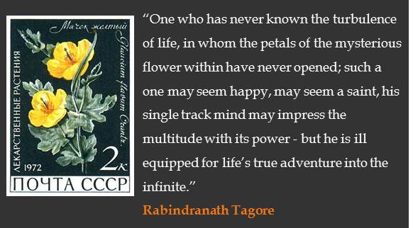 A quote about the importance of life’s difficult times by Rabindranath Tagore.