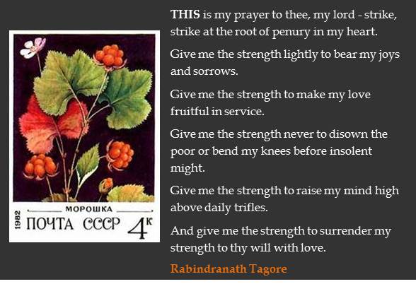 A prayer by Rabindranath Tagore from the Gitanjali.